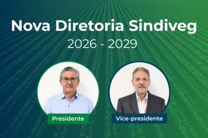 Nova diretoria Sindiveg