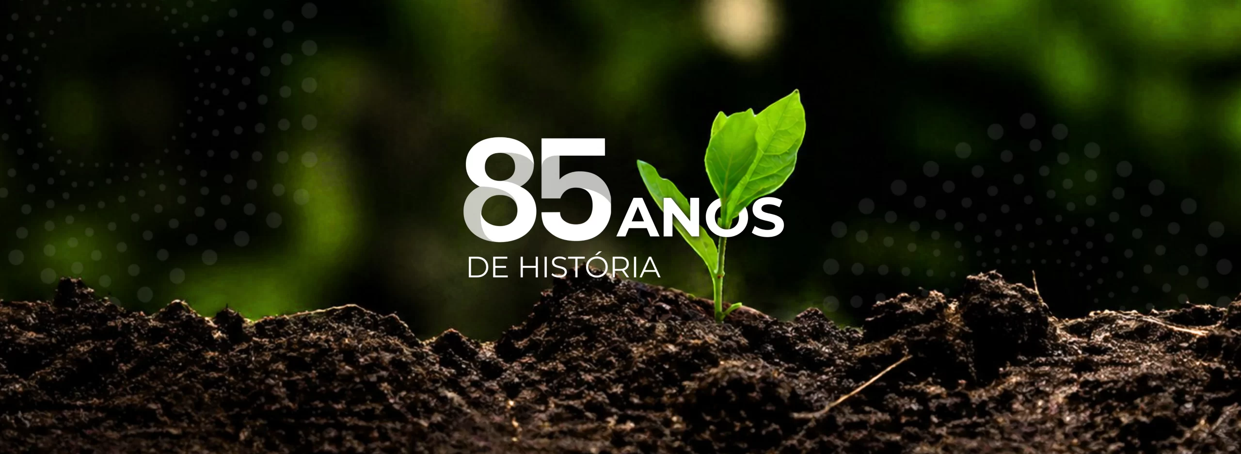85 Anos Sindiveg