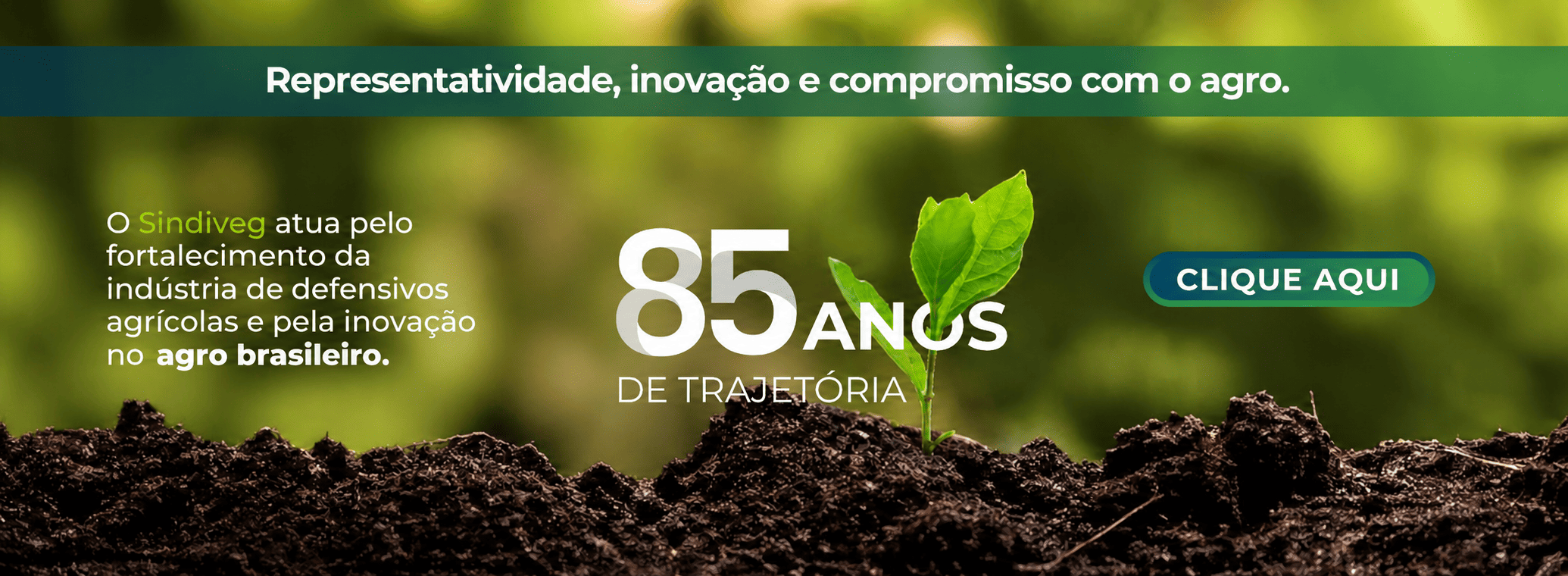 85 Anos Sindiveg
